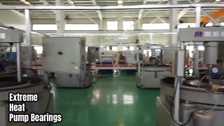 Łożyska pompy Extreme Temp z węglika krzemu