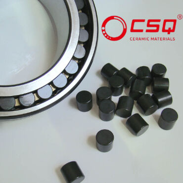 Ceramic Cylindrical Roller Bearings Single Row with Si3N4 Material and PEEK Cage for High Temperature Resistance